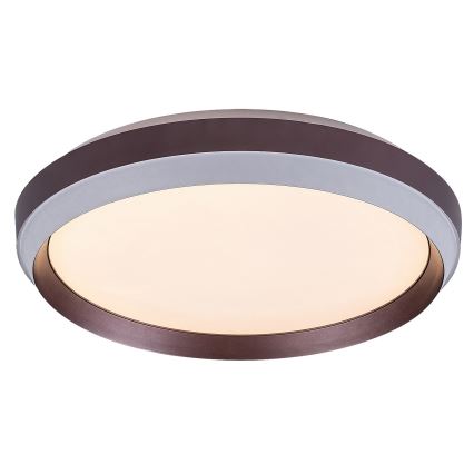 Rabalux - LED Plafondlamp LED/24W/230V 3000K