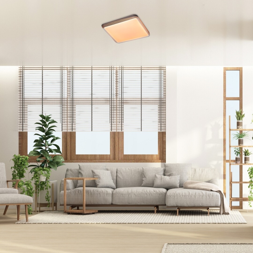 Rabalux - Plafonnier LED/40W/230V 3000K