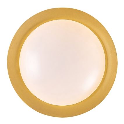 Rabalux - LED Plafondlamp LED/24W/230V 3000K diameter 40 cm