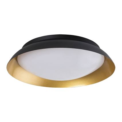 Rabalux - LED Plafondlamp LED/24W/230V 3000K diameter 40 cm