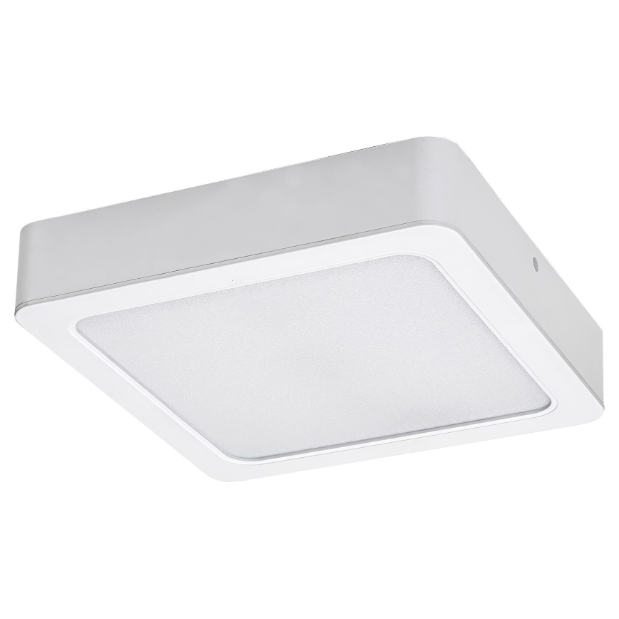 Rabalux - Plafonnier LED/24W/230V 4000K 22x22 cm blanc