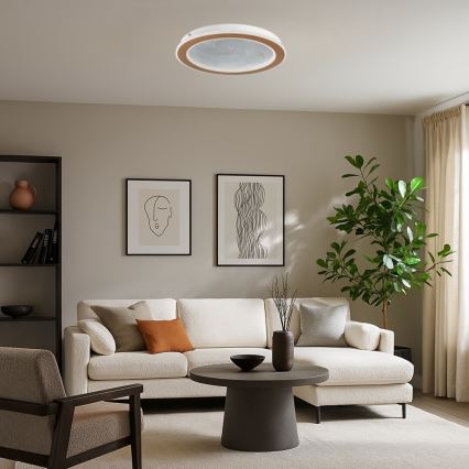 Rabalux - Dimbare LED-plafondlamp LED/24W/230V 3000-6500K Ø 40 cm + afstandsbediening