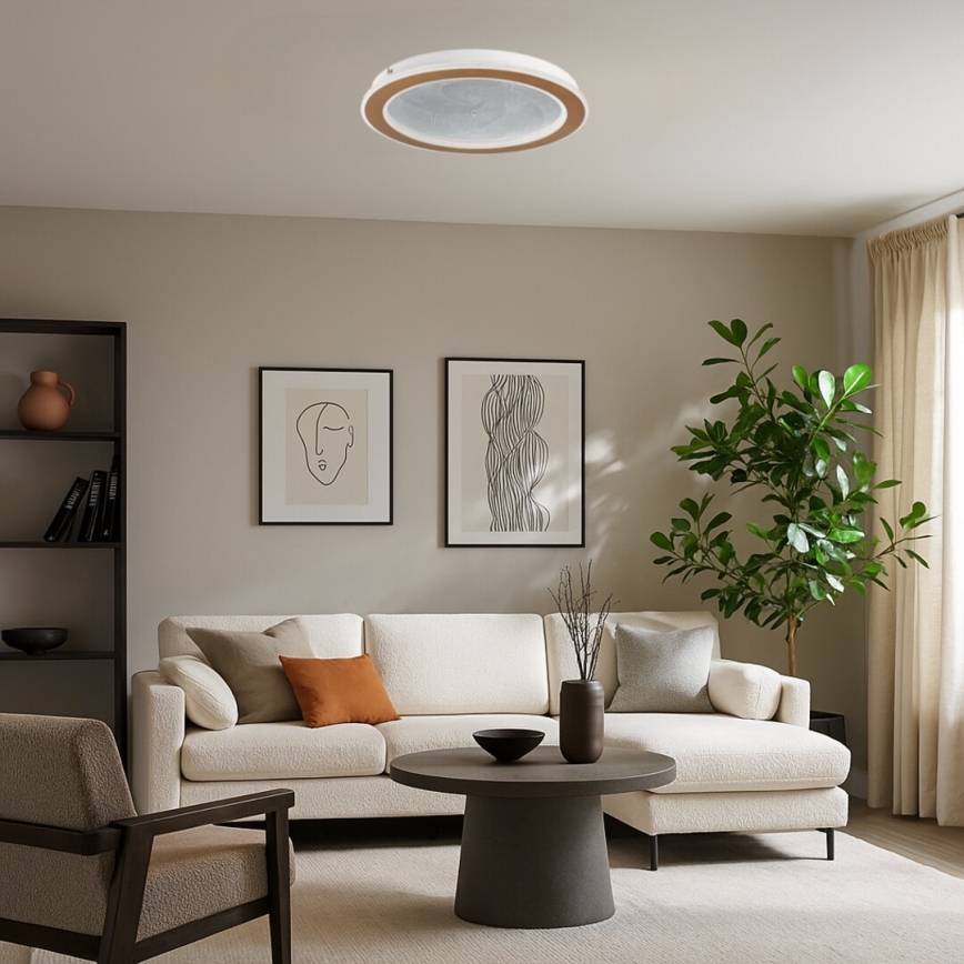 Rabalux - Dimbare LED-plafondlamp LED/24W/230V 3000-6500K Ø 40 cm + afstandsbediening