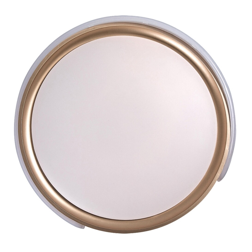 Rabalux - Dimbare LED plafondlamp LED/48W/230V 3000-6500K + afstandsbediening
