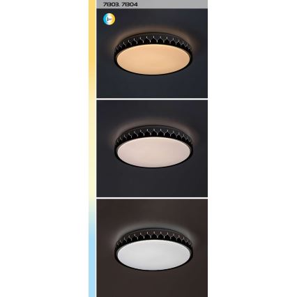Rabalux - Plafonnier à intensité variable LED/48W/230V 3000-6500K + Télécommande
