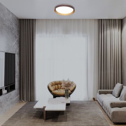 Rabalux - Dimbare LED plafondlamp LED/48W/230V 3000-6500K + afstandsbediening