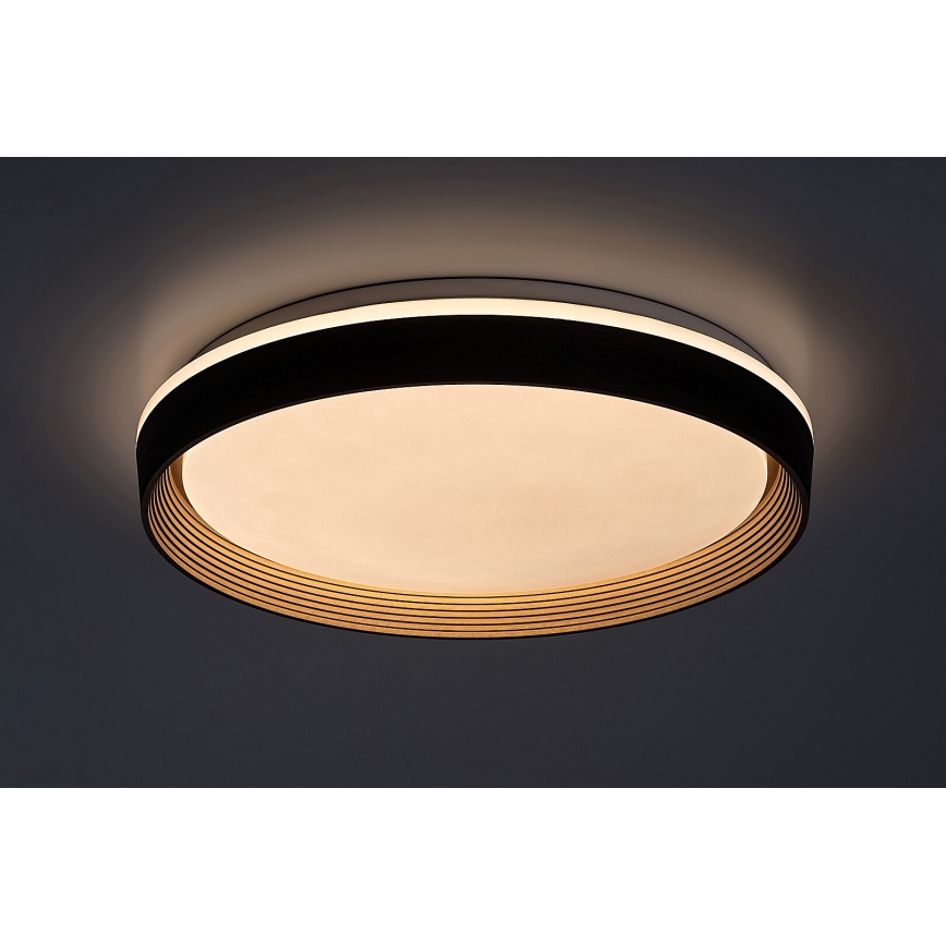 Rabalux - Dimbare LED plafondlamp LED/48W/230V 3000-6500K + afstandsbediening