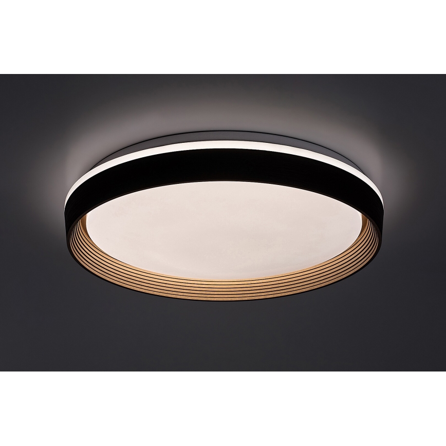 Rabalux - Dimbare LED plafondlamp LED/48W/230V 3000-6500K + afstandsbediening