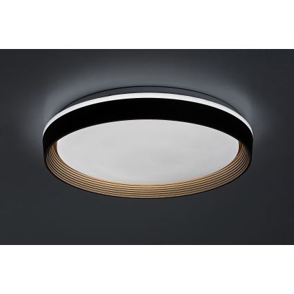 Rabalux - Dimbare LED plafondlamp LED/48W/230V 3000-6500K + afstandsbediening