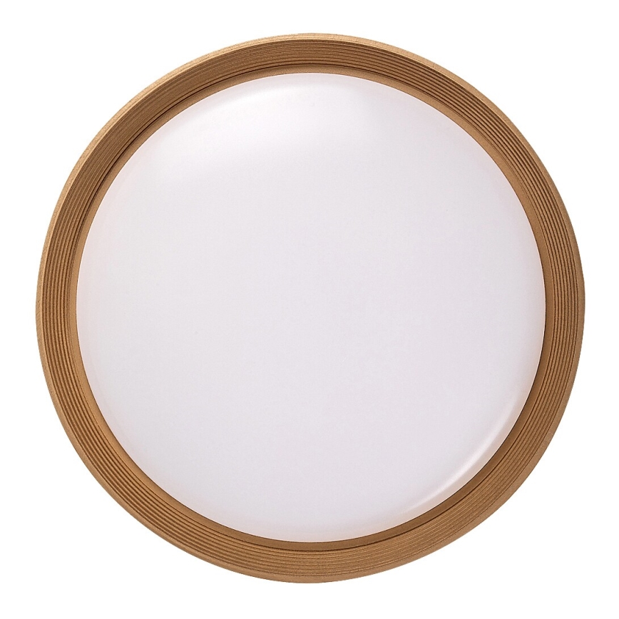 Rabalux - Dimbare LED plafondlamp LED/48W/230V 3000-6500K + afstandsbediening