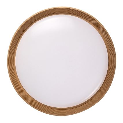 Rabalux - Plafonnier à intensité variable LED/48W/230V 3000-6500K + Télécommande