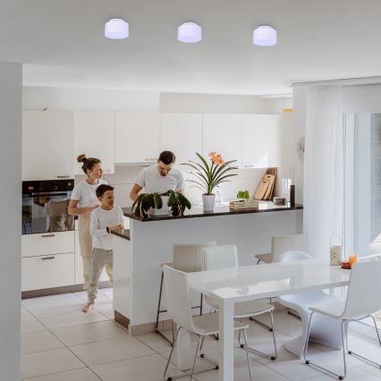 Rabalux - Plafonnier LED 24 W / 230 V / 3000 K, blanc, Ø 14 cm