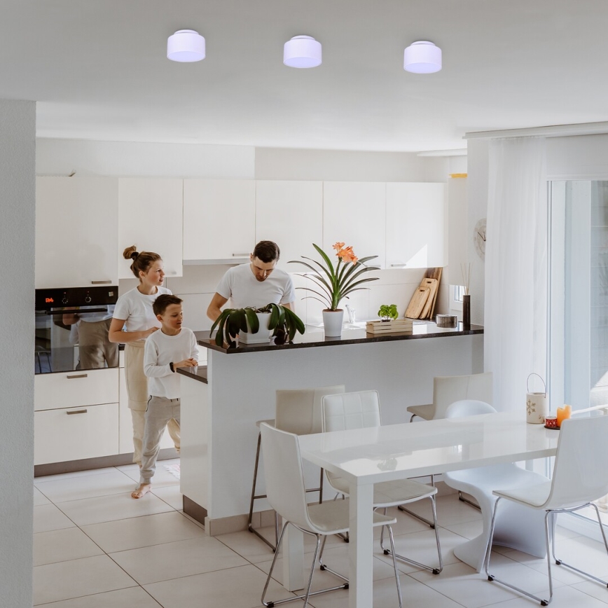 Rabalux - Plafonnier LED 24 W / 230 V / 3000 K, blanc, Ø 14 cm