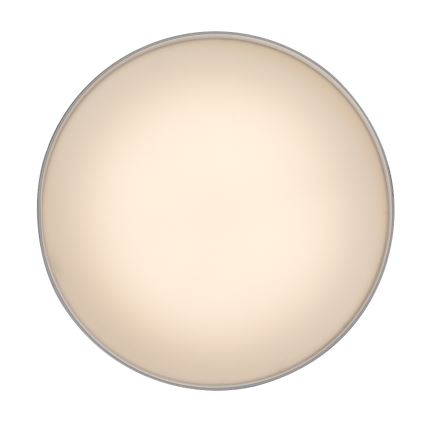 Rabalux - Plafonnier LED 24 W / 230 V / 3000 K, blanc, Ø 14 cm