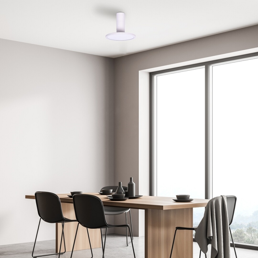 Rabalux - Plafonnier LED/20W/230V 3000K blanc