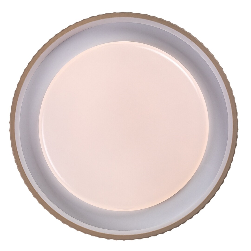 Rabalux - Plafonnier LED dimmable, 48 W, 230 V, 3000–6500 K, Ø 49,5 cm + télécommande