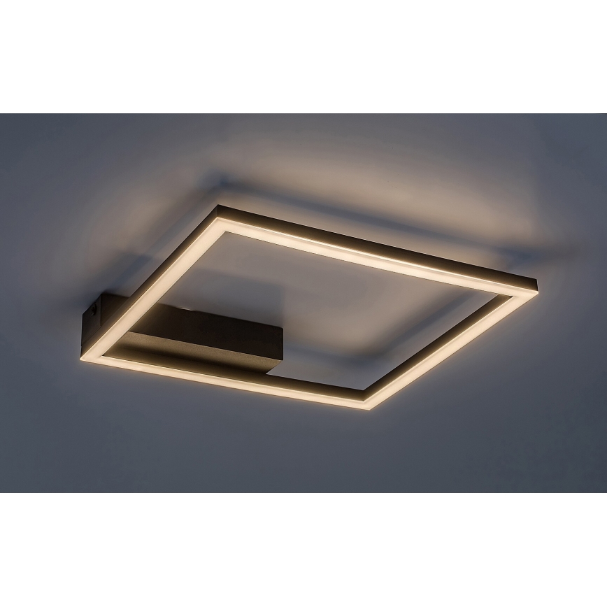 Rabalux - Plafonnier LED/24W/230V 3000K