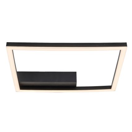Rabalux - Plafonnier LED/24W/230V 3000K