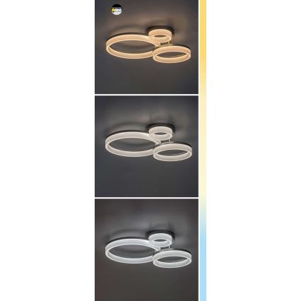 Rabalux - LED Plafondlamp LED/24W/230V 3000/4000/6500K goud