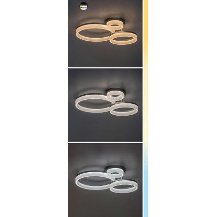 Rabalux - Plafonnier LED/24W/230V 3000/4000/6500K noir