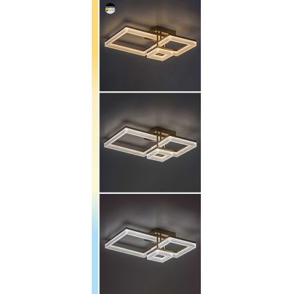 Rabalux - LED Plafondlamp LED/22W/230V 3000/4000/6500K mat chroom
