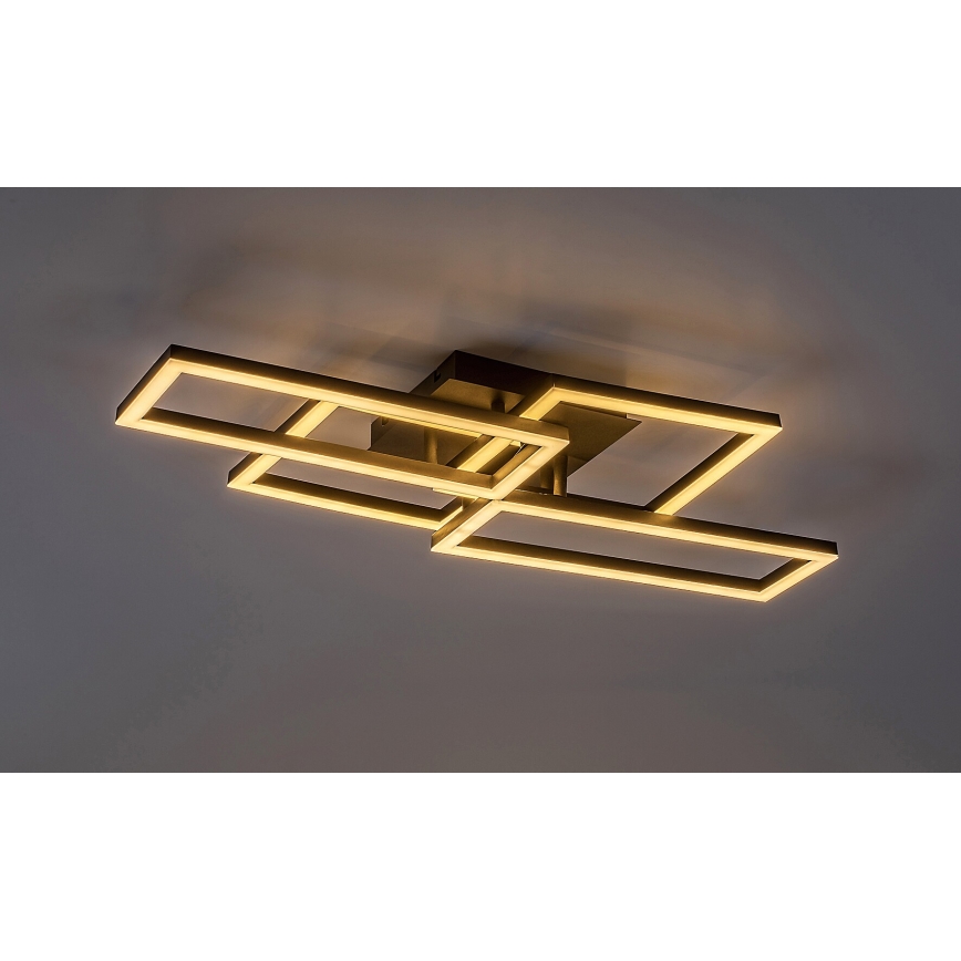 Rabalux - Dimbare LED plafondlamp LED/40W/230V 3000-6500K + afstandsbediening