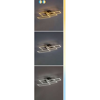 Rabalux - Dimbare LED plafondlamp LED/40W/230V 3000-6500K + afstandsbediening