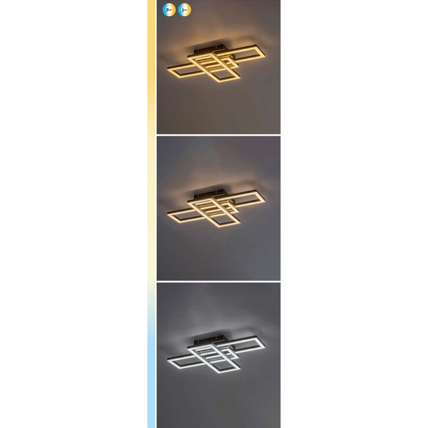 Rabalux - LED-dimbare plafondlamp LED/40W/230V 3000-6500K + afstandsbediening 35x50 cm