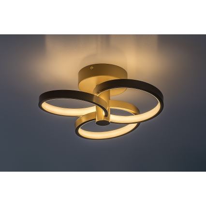 Rabalux - Plafonnier LED dimmable LED/32W/230V 3000-6500K Ø 31 cm beige + télécommande