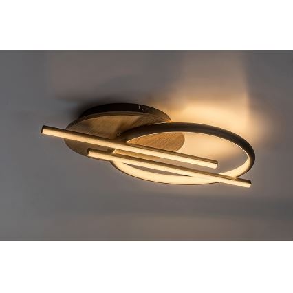 Rabalux - LED Plafondlamp LED/40W/230V 3000/4000/6500K