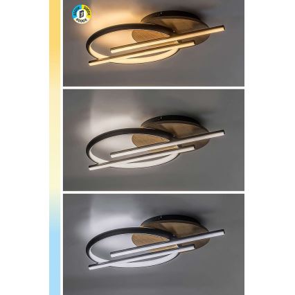 Rabalux - LED Plafondlamp LED/40W/230V 3000/4000/6500K