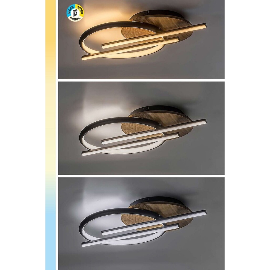 Rabalux - LED Plafondlamp LED/40W/230V 3000/4000/6500K