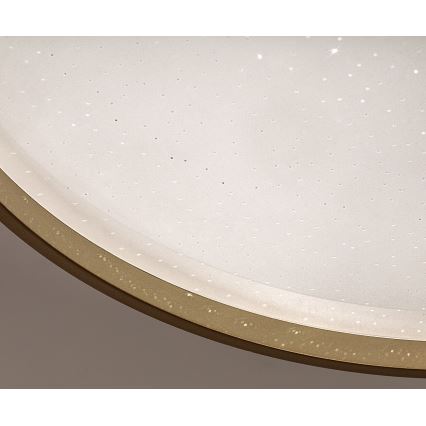 Rabalux - Dimbare LED-plafondlamp LED/34W/230V 3000-6500K Ø 38 cm + afstandsbediening