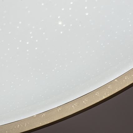 Rabalux - Dimbare LED-plafondlamp LED/34W/230V 3000-6500K Ø 38 cm + afstandsbediening