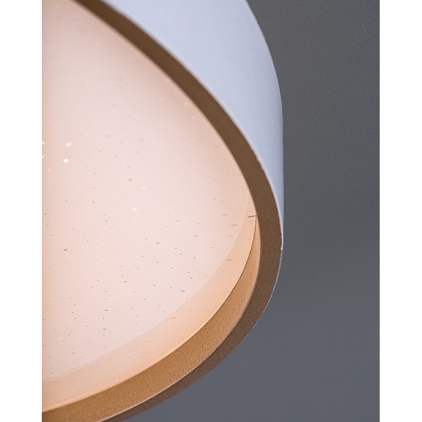 Rabalux - Plafonnier LED dimmable, 60W/230V, 3000-6500K, Ø 58 cm + télécommande