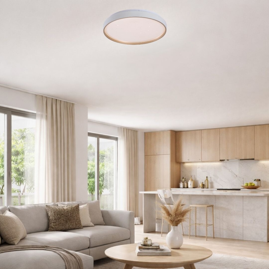 Rabalux - Dimbare LED-plafondlamp, 60 W, 230 V, 3000–6500 K, Ø 58 cm + afstandsbediening