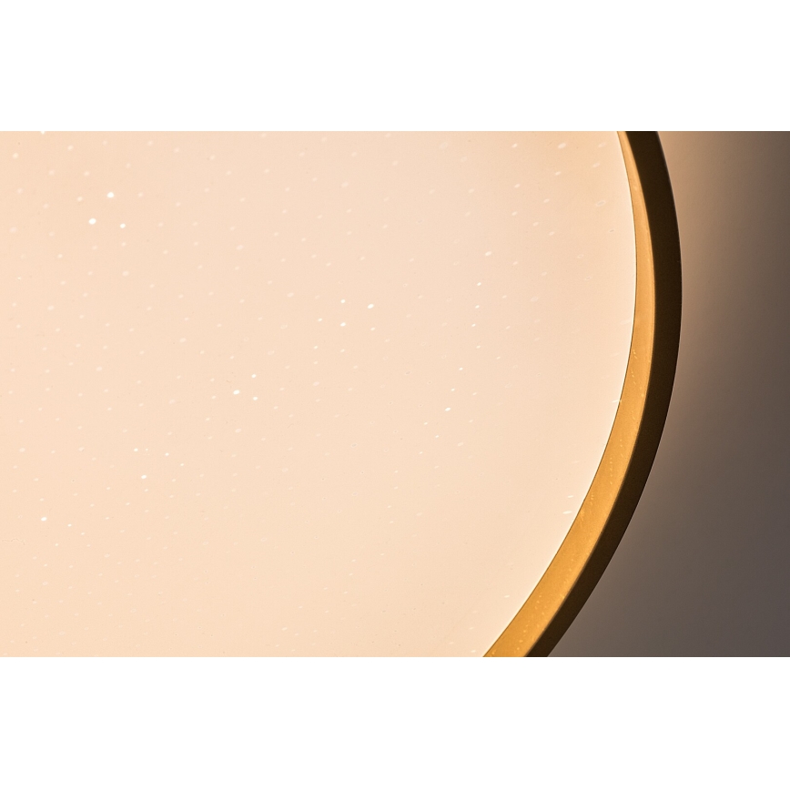 Rabalux - Plafonnier LED dimmable 80W 230V 3000-6500K Ø 77 cm + télécommande