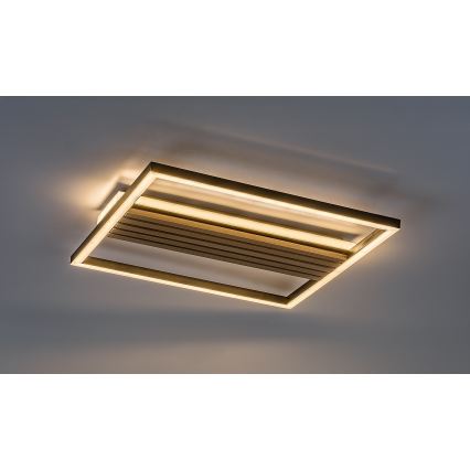 Rabalux - Plafonnier LED/30W/230V 3000/4500/6000K