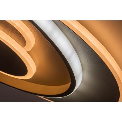 Rabalux - Plafonnier LED dimmable LED/57W/230V 3000-6000K 48,5x40 cm + télécommande