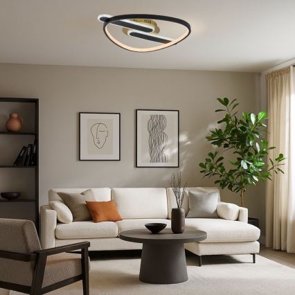 Rabalux - Plafonnier LED dimmable LED/60W/230V 3000-6000K 53x45 cm + télécommande