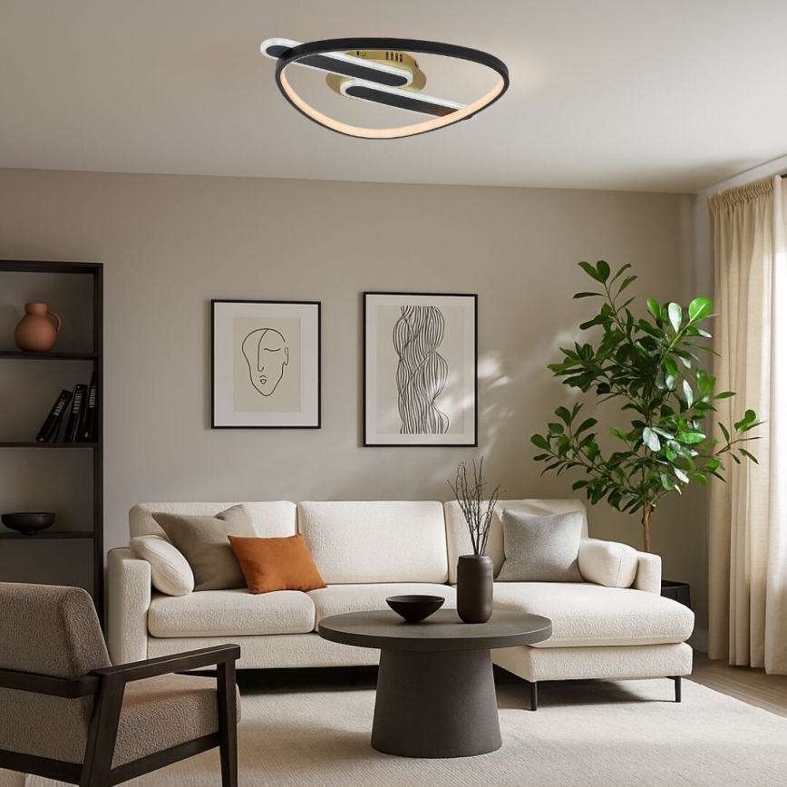 Rabalux - Plafonnier LED dimmable LED/60W/230V 3000-6000K 53x45 cm + télécommande
