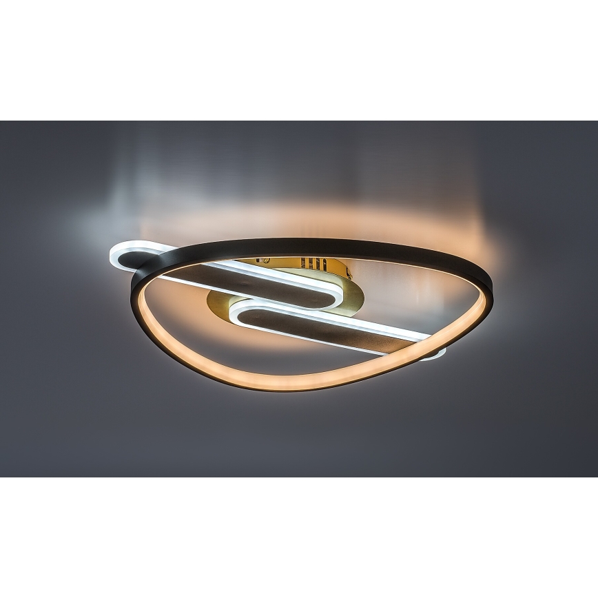 Rabalux - Plafonnier LED dimmable LED/60W/230V 3000-6000K 53x45 cm + télécommande