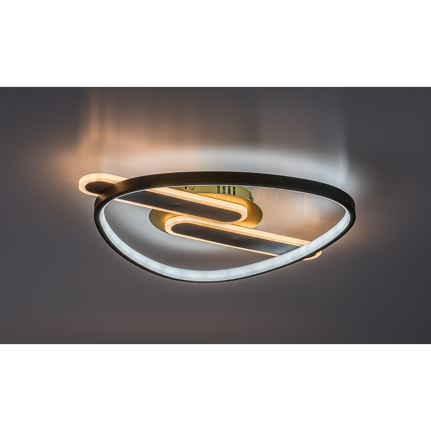 Rabalux - Plafonnier LED dimmable LED/60W/230V 3000-6000K 53x45 cm + télécommande