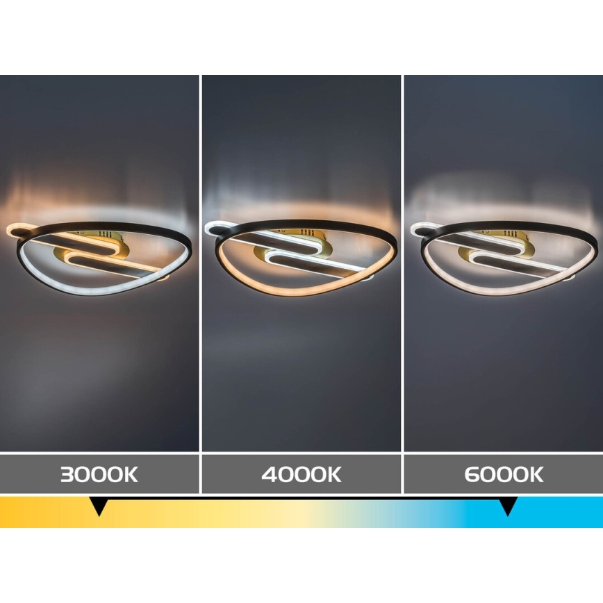 Rabalux - Plafonnier LED dimmable LED/60W/230V 3000-6000K 53x45 cm + télécommande