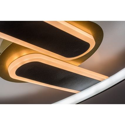 Rabalux - Plafonnier LED dimmable LED/60W/230V 3000-6000K 53x45 cm + télécommande