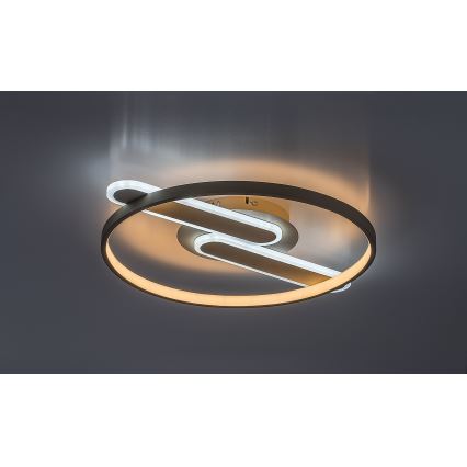 Rabalux - Plafonnier LED dimmable LED/55W/230V 3000-6000K 53x45 cm + télécommande
