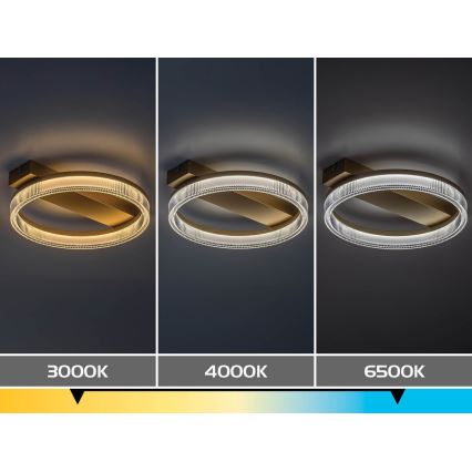 Rabalux - Plafonnier LED dimmable LED/18W/230V 3000-6500K 37x33 cm + télécommande