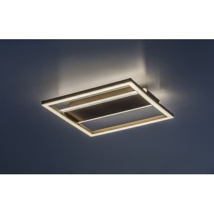 Rabalux - LED-plafondlamp LED/24W/230V 33x33 cm