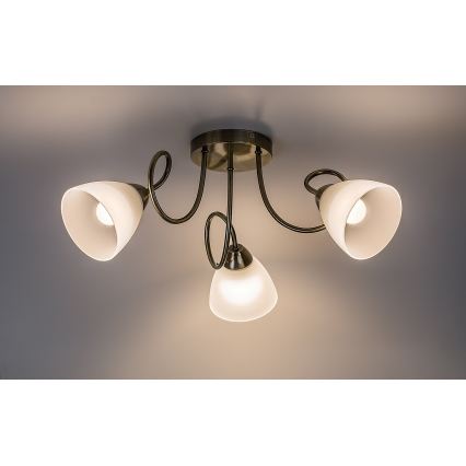Rabalux - Plafonnier en applique 3xE27/60W/230V