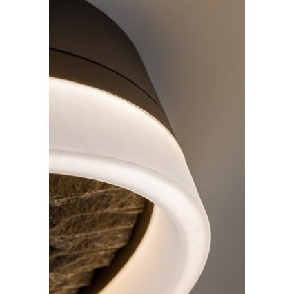 Rabalux - Plafonnier LED dimmable LED/24W/230V 3000-6500K Ø 40 cm noir + télécommande